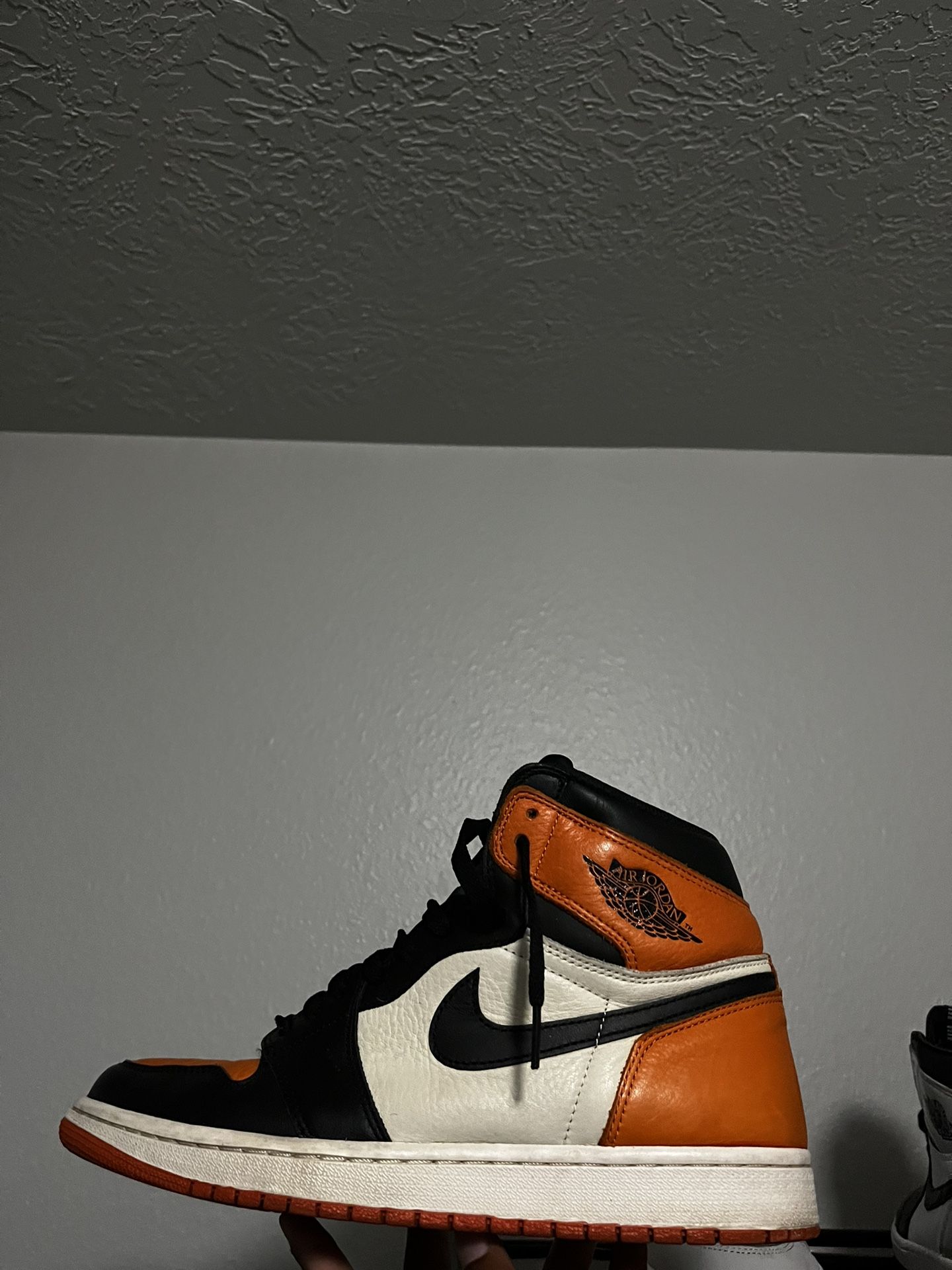 Jordan 1 Sbb Size 11