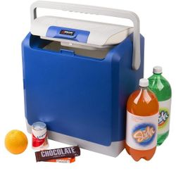 Electric cooler