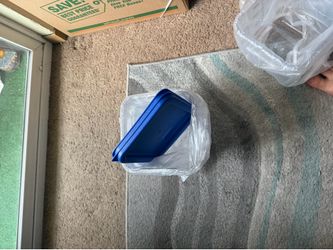 2  4 QT Food Storage Containers with Blue Lids