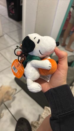 Snoopy with tags