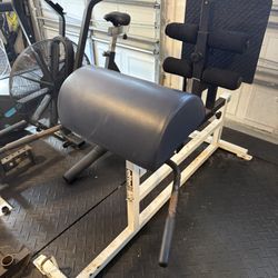 Elite FTS Glute Ham Raise (GHR)