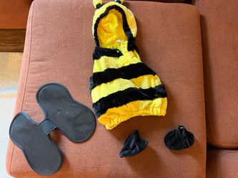 Bumble bee costume 6-8 months with adult keeper hats