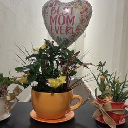 Last Minute Gifts Taking Orders For Mothers Day Small $45 Big $65