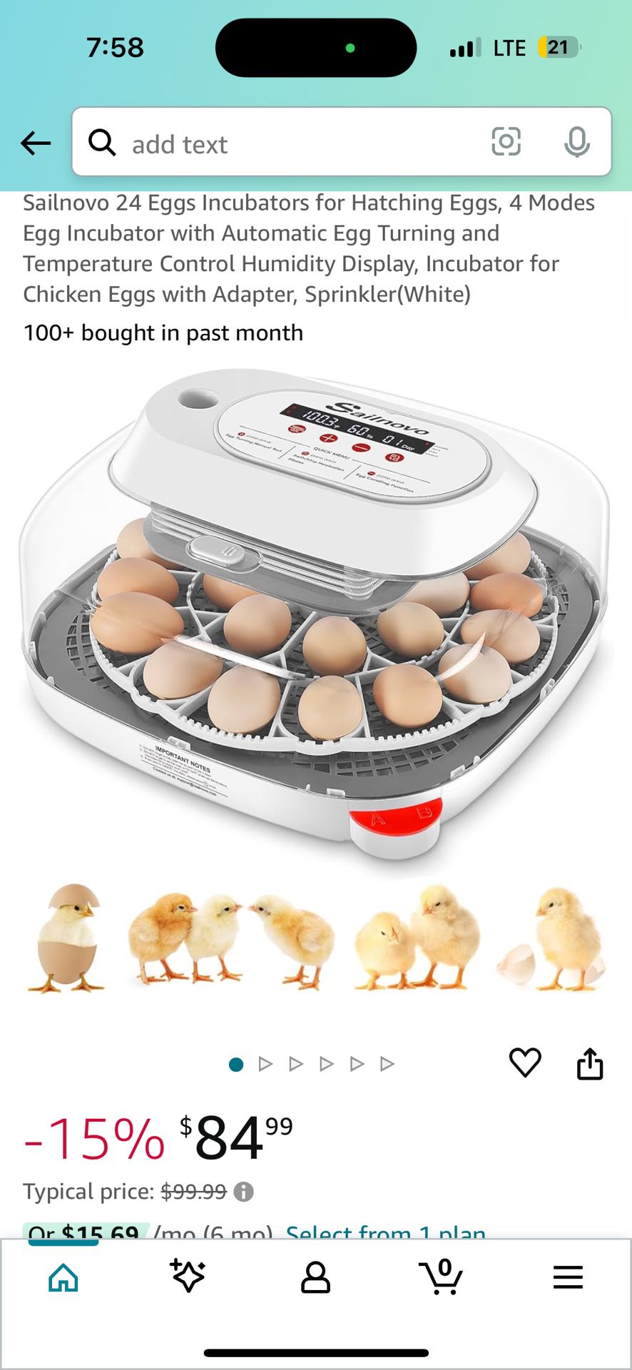 Egg Hatching For 24 Eggs