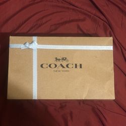 Coach Nolita 19 With Floral Print And Bow 