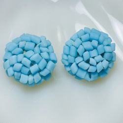 Rare Italy Natural Blue Coral Clip Earrings