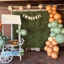 Party Backdrops And Cart Balloons 