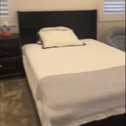 Queen Bed Frame
