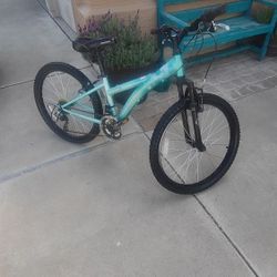 ladies 24-in diamondback tess mountain bike