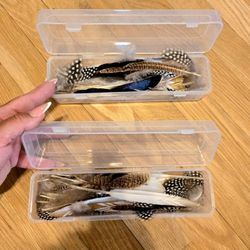 Feather Assortment