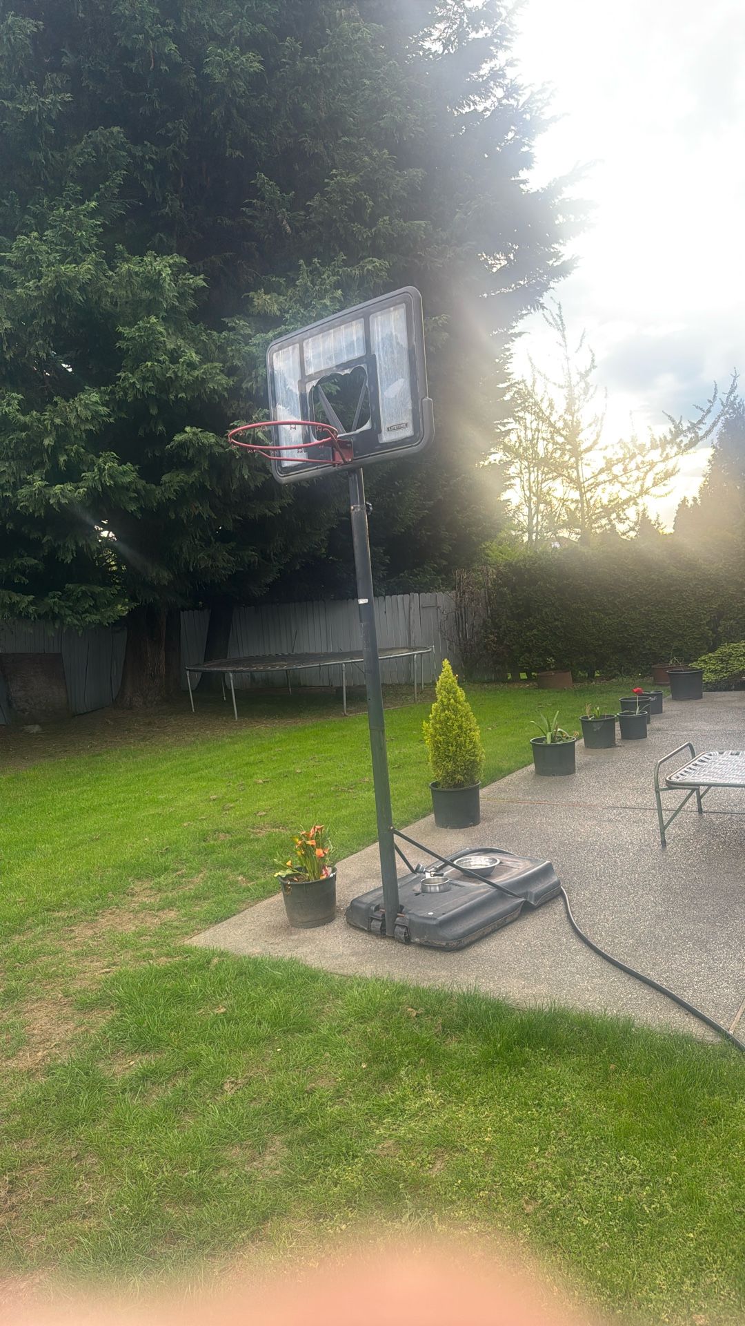 Lifetime Basketball Hoop