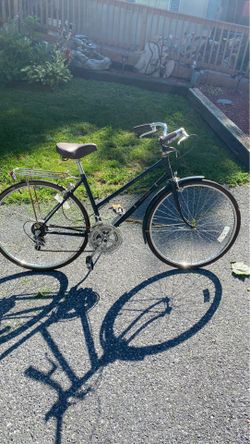 Free spirit bicycle