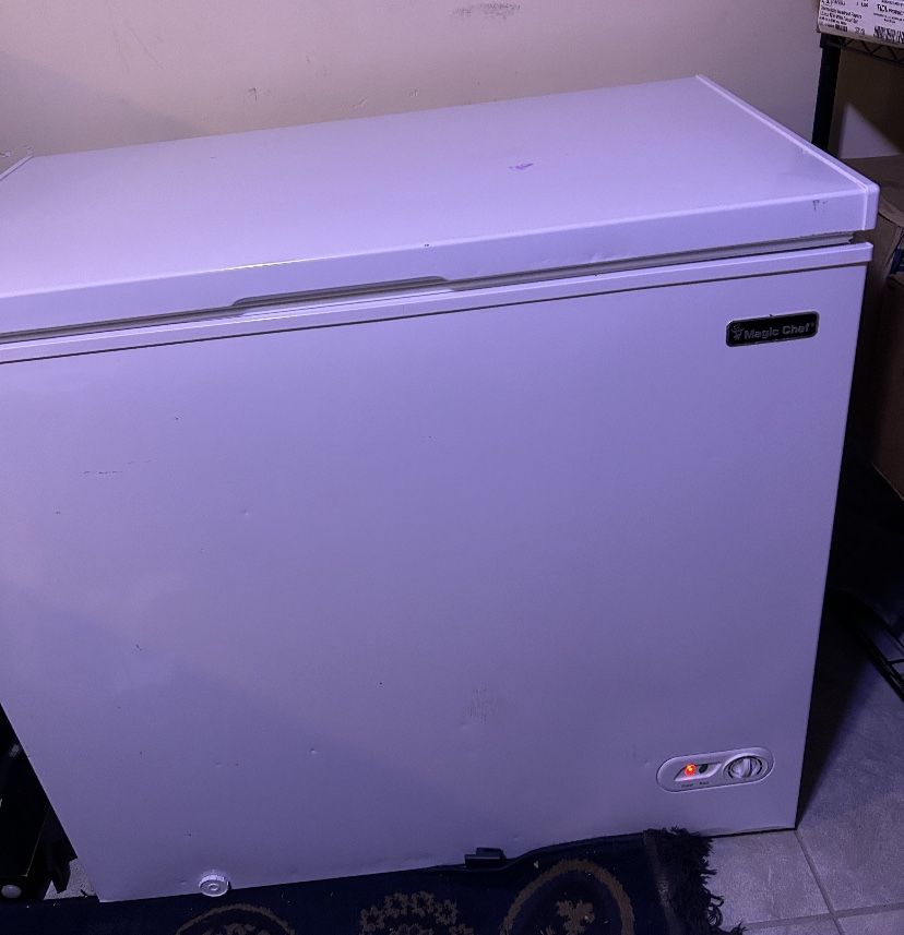 Floor Freezer