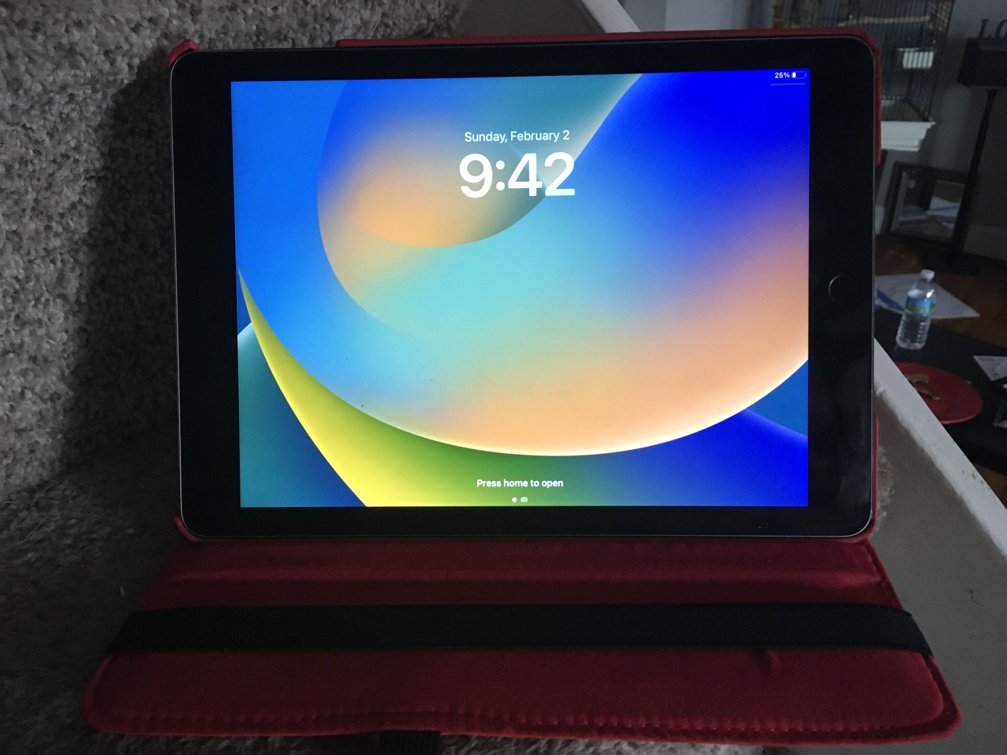 Apple iPad Pro 32 Gigs W Case