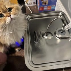 3.17G Pet Water Fountain Brand New