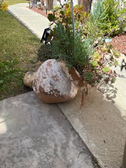 Large  vintage  slanted planter full with succulents