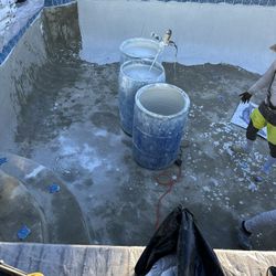 Pool Plaster And Tile 