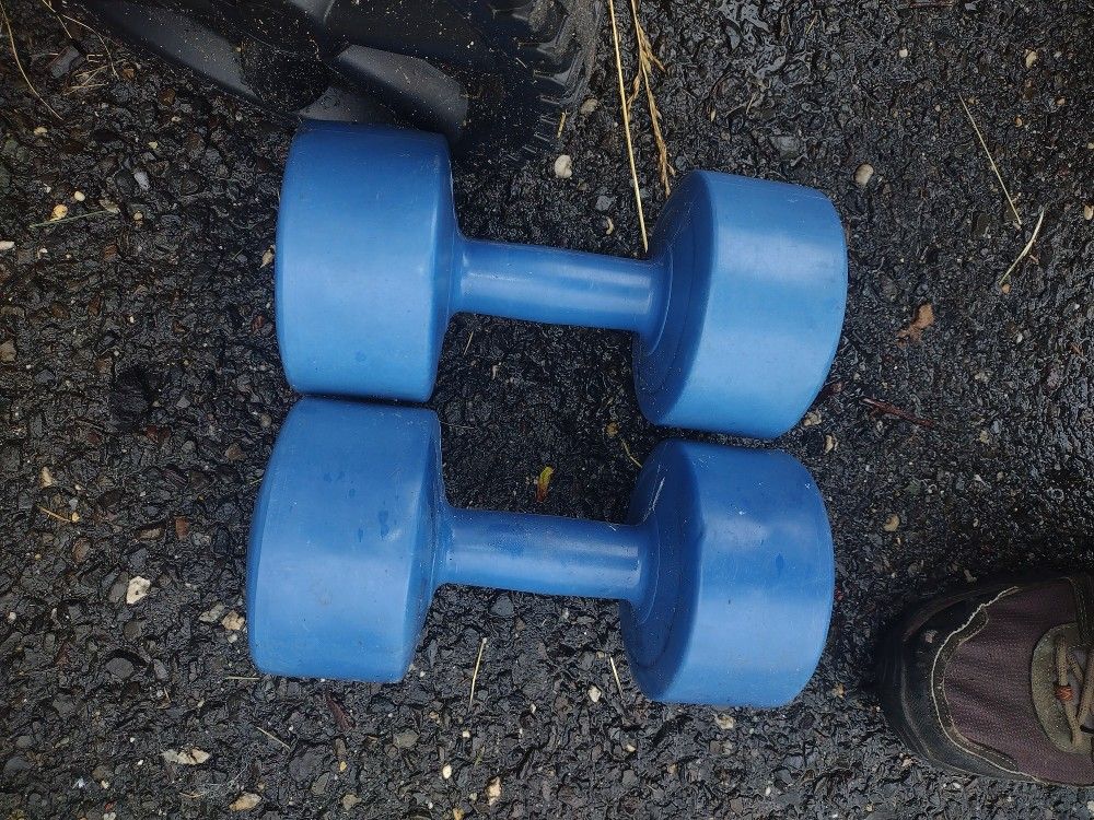 8 lb dumbbells