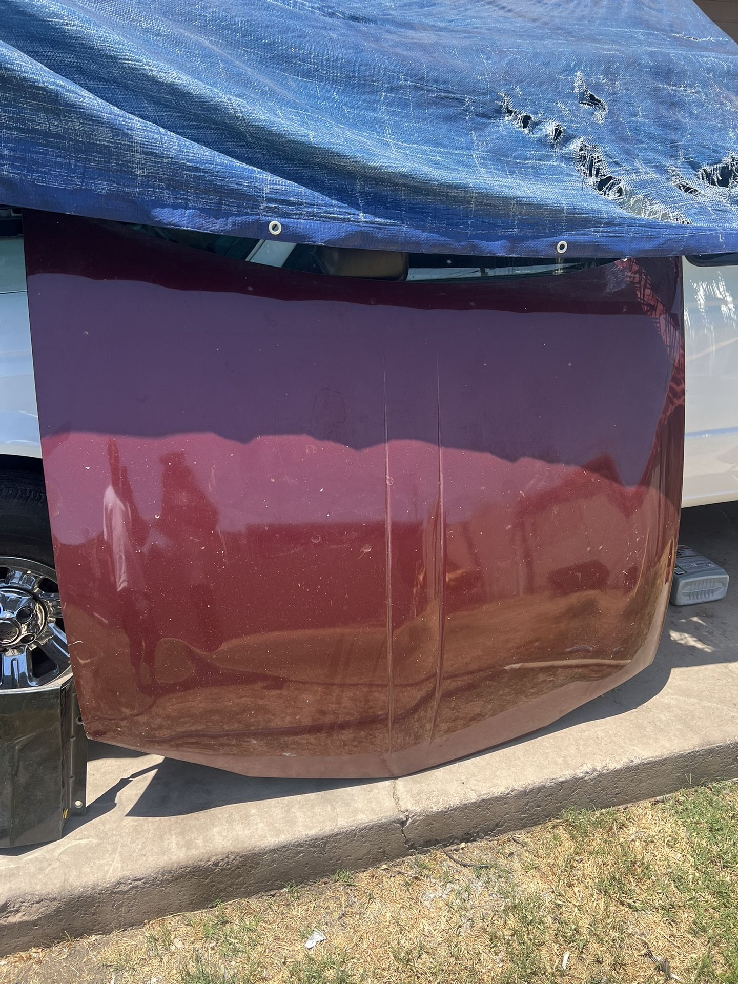 2001 Monte Carlo Hood