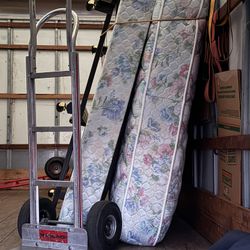 Box Spring And  Mattress Sealey Posturepedic