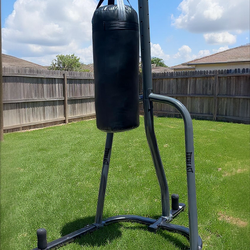 Everlast Stand and punching bag