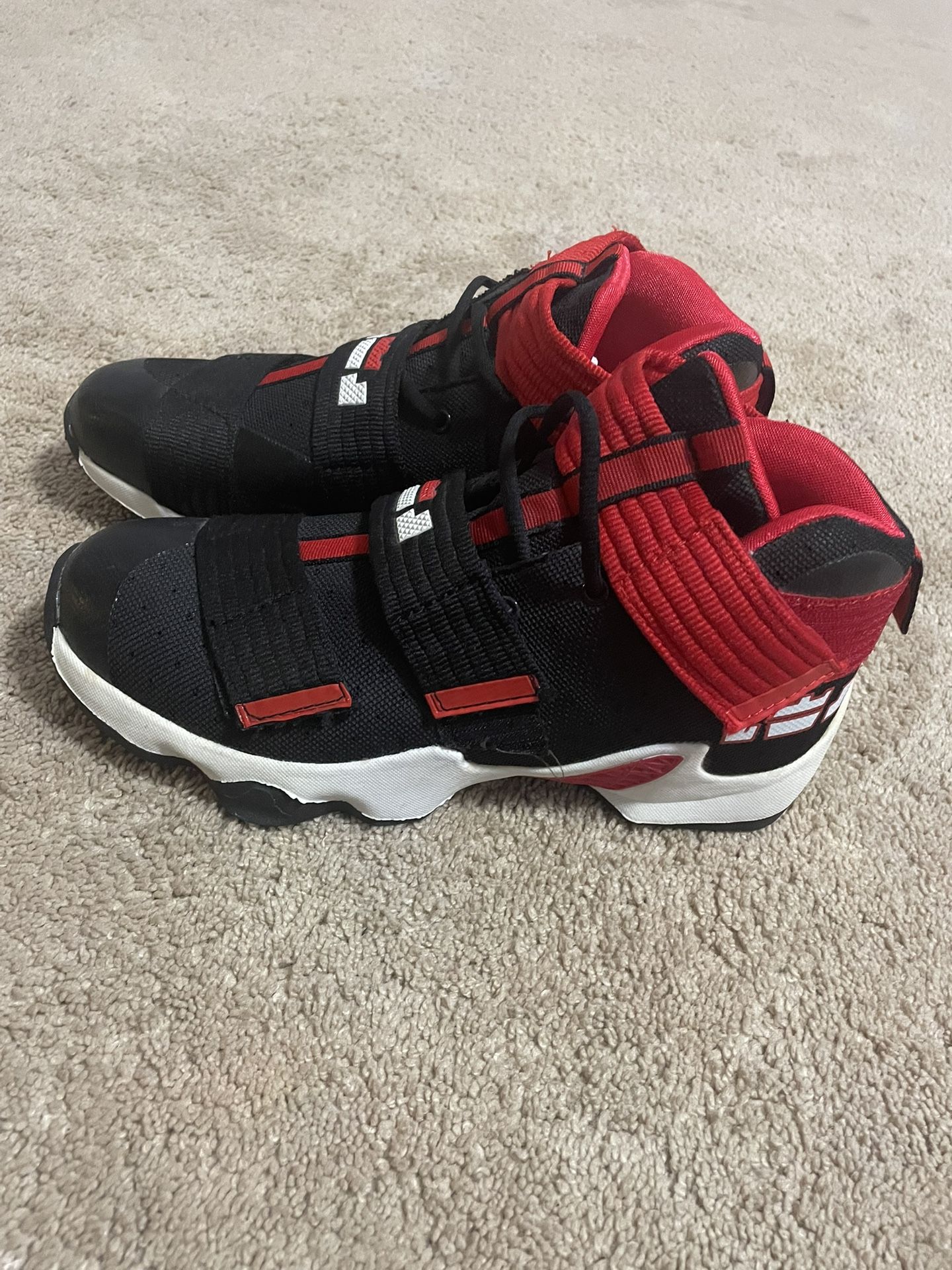 Nike LeBron Basketball Shoes