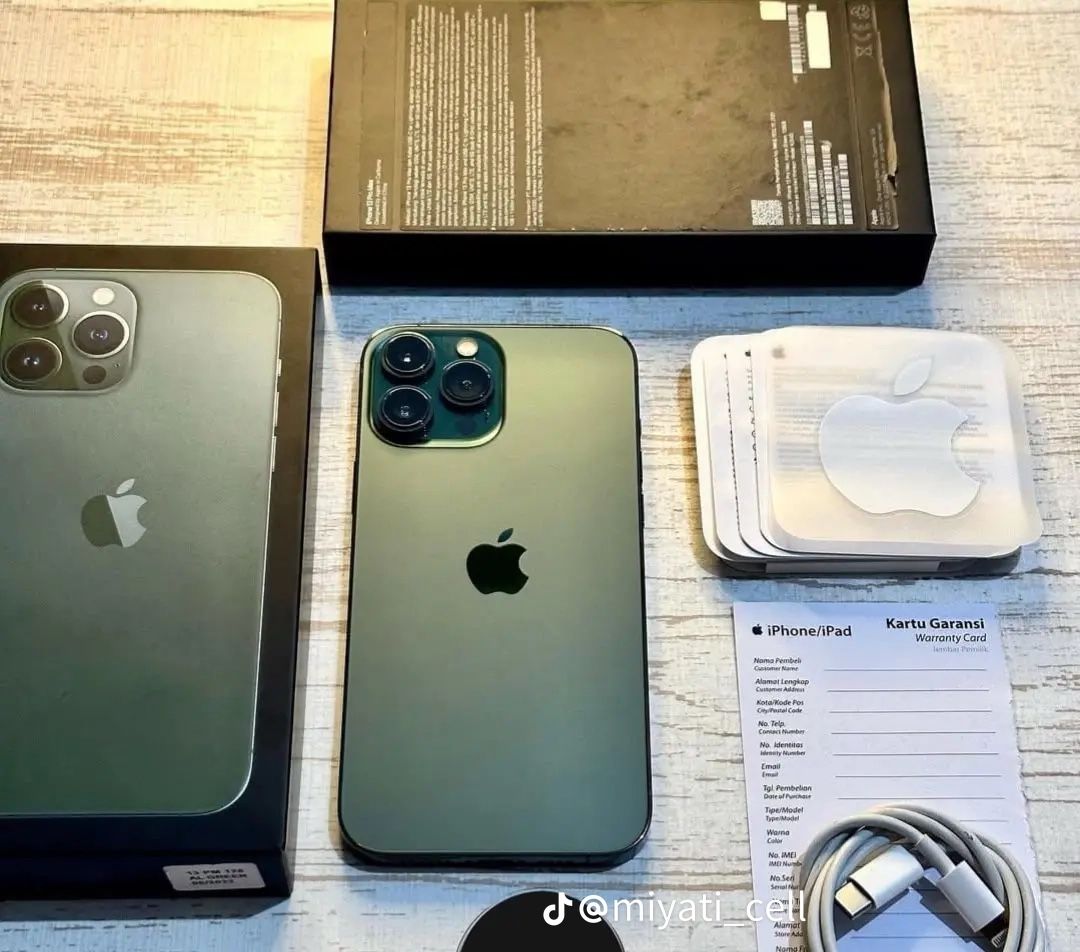 Unlocked Iphone Thirteen Pro Max 