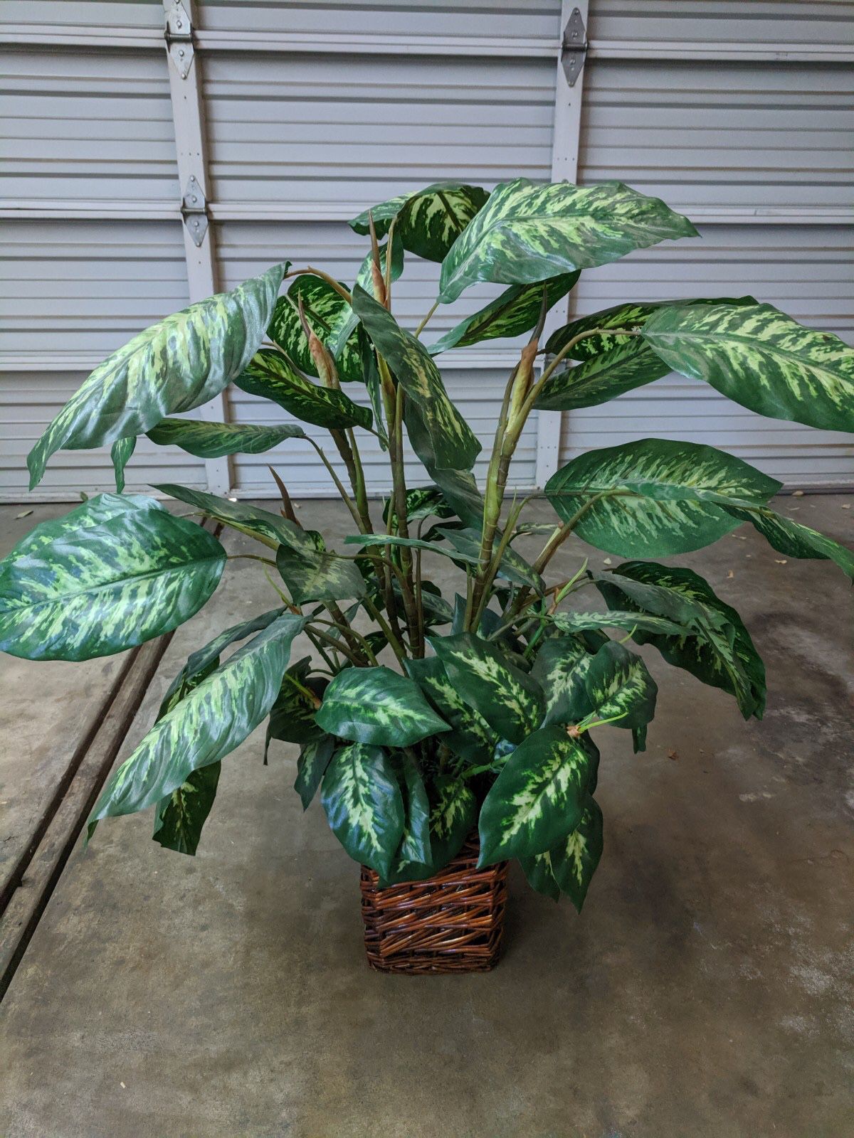 Fake plant