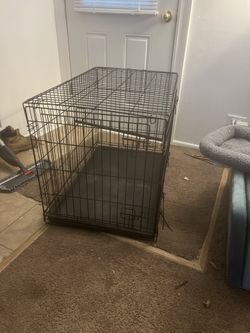 Dog Cage