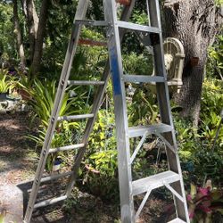 Ladder 