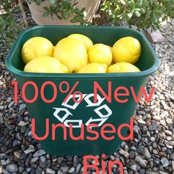 NEW Rubbermaid Commercial Bin & Lemons 