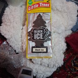 Little Trees Air freshner