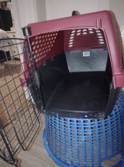 Dog porter carrier