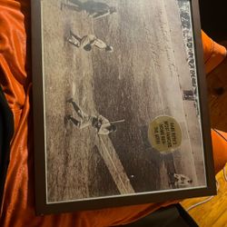 Babe Ruth 60 HR PICTURE FRAMED 