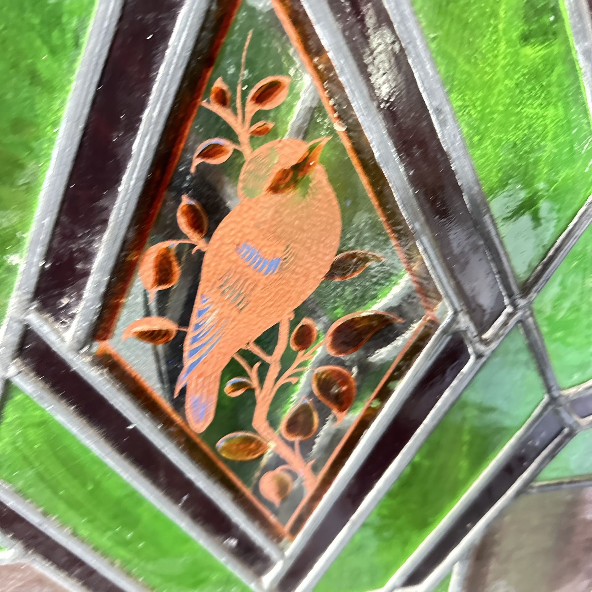 Image #1