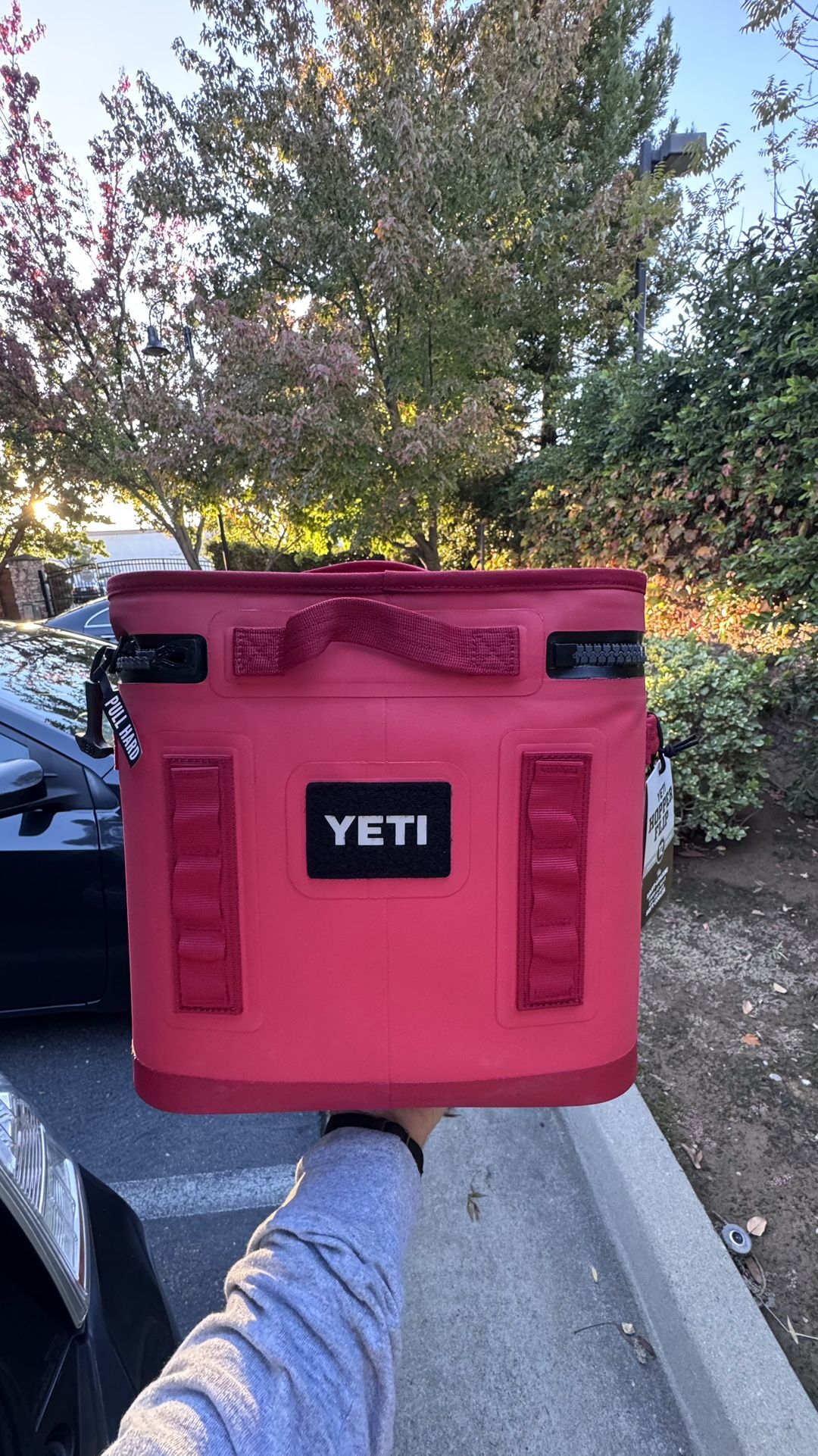 Yeti Flip 12