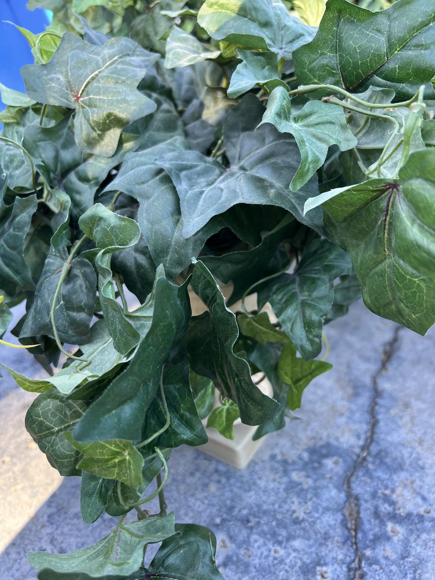 X Large Gorgeous Silk Plants 3-$60.