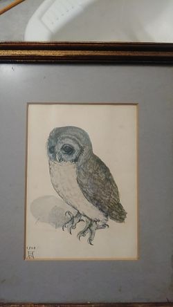 THE LITTLE OWL, 1508 BY ALBRECHT DURER