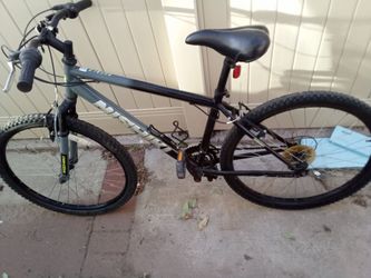 Nishiki mountain bike