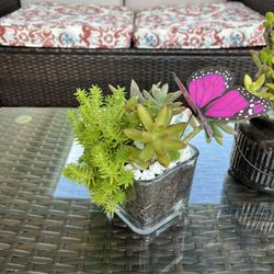 Succulent Arrangements For Mothers Day 