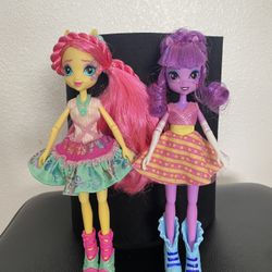 My Little Pony Equestria Girls Doll Twilight Sparkle And Fluttershy 