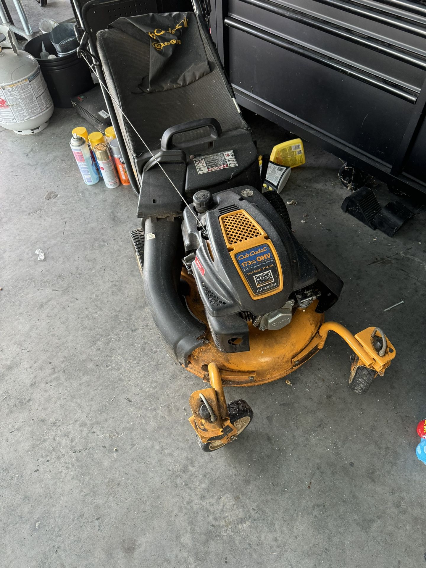 Cub Cadet Self Propelled Push Lawn Mower