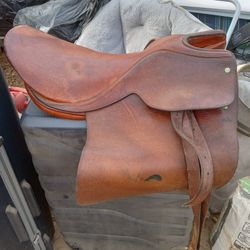 Horse Saddle And  Belt