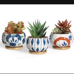 Brand New 4 Inch Japanese Succulent Pots With Bamboo Saucer Set Of 3 No Plants Included (check My Other Listings As Well)