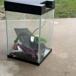 Almost new fish tray