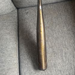 Demarini voodoo 2024
