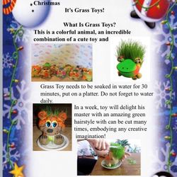 Best  gift for kids “ Grass Toys”