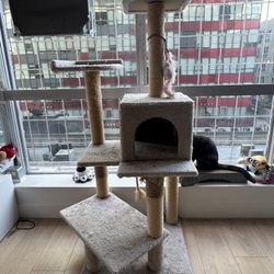 5ft Cat Tower 
