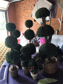 Topiary ball trees