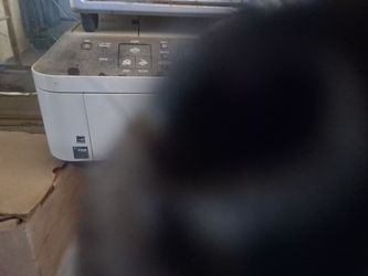 Canon printer nice all works
